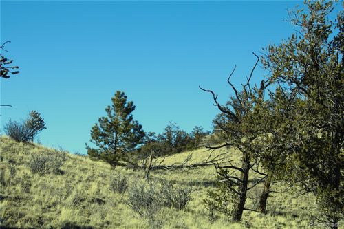 3632 Clear Creek Rd, Hartsel, CO, 80449 | Card Image