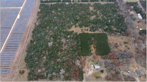 LOT 1 Kable Avenue, Lent Twp, MN, 55056 | Card Image