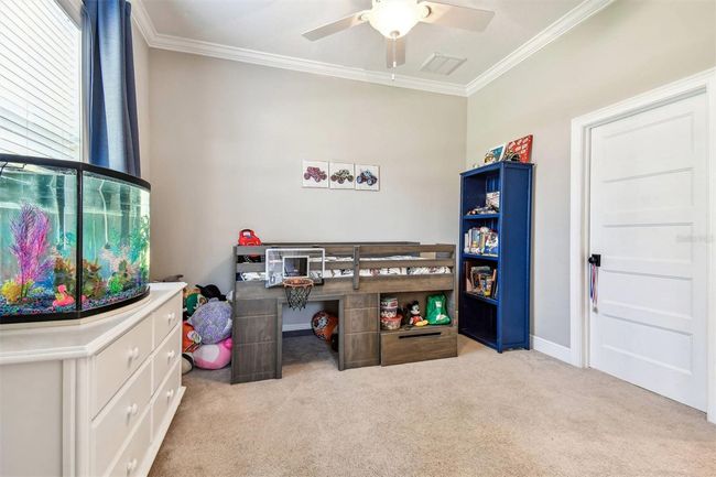 15513 Phillips Rd, House other with 4 bedrooms, 3 bathrooms and null parking in ODESSA FL | Image 52