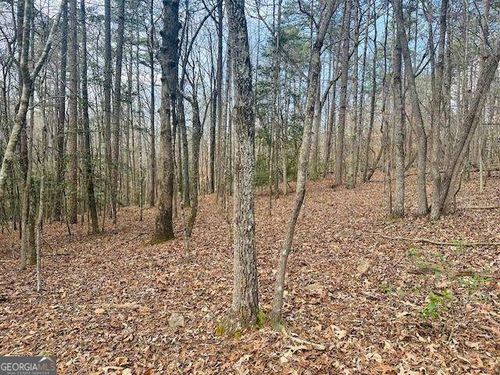LOT 28 Fern Park Dr, Dawsonville, GA, 30534-8489 | Card Image