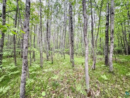0 Kelly Road, HIGHLAND, WI, 54849 | Card Image