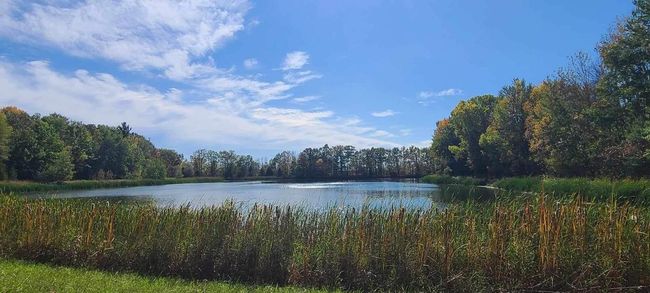 1150 Logwood Court, House other with 4 bedrooms, 2 bathrooms and null parking in MANITOWOC RAPIDS WI | Image 99