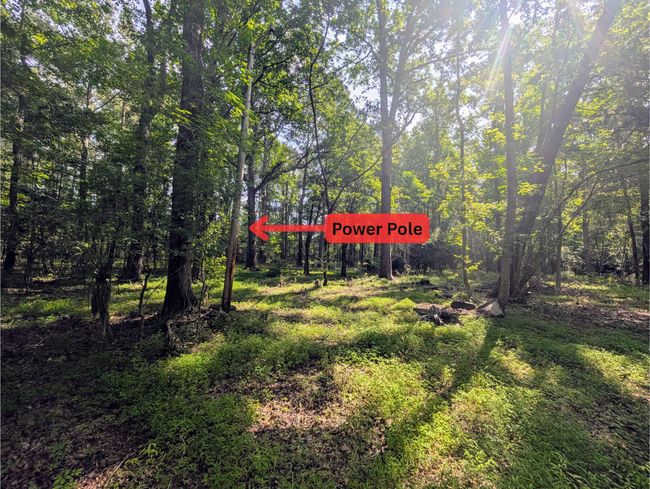 Power Pole | Image 4