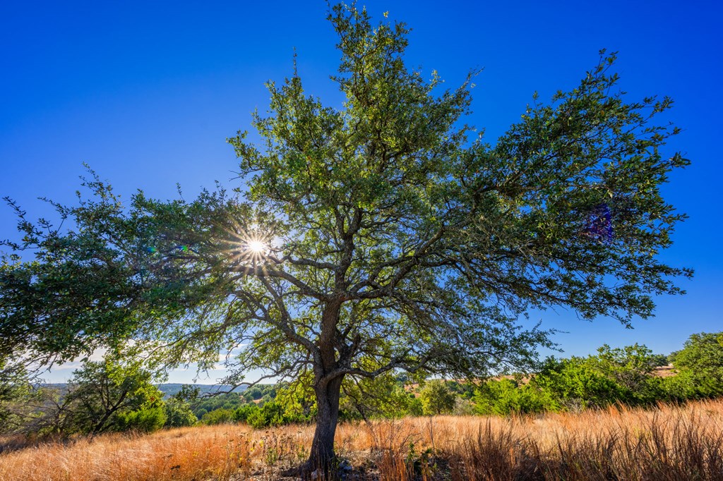Land in Kerrville 3