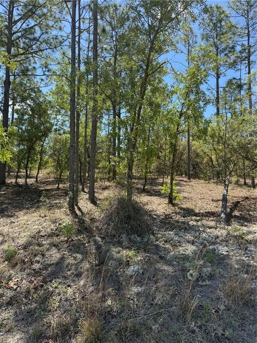 LOT# 8 Sw Mineola Lane, Dunnellon, FL, 34431 | Card Image