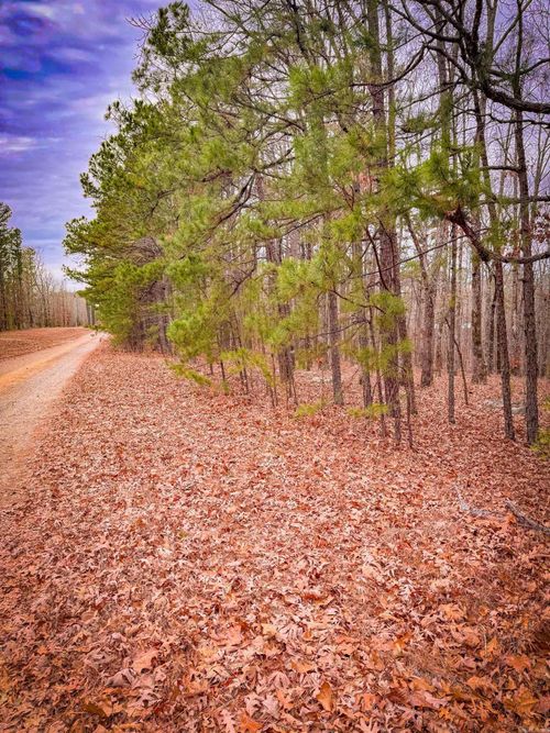 00 Heather Ridge Dr, Bigelow, AR, 72016 | Card Image