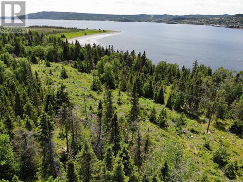 0 Random Brook Road, RANDOM ISLAND, NL,  | Card Image