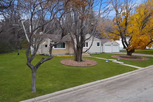 411 4th Ave Ne, Glenwood, MN, 56334-1335 | Card Image