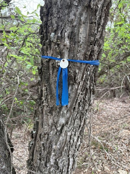 6205 Valleyview St, Lago Vista, TX, 78645-5210 | Card Image