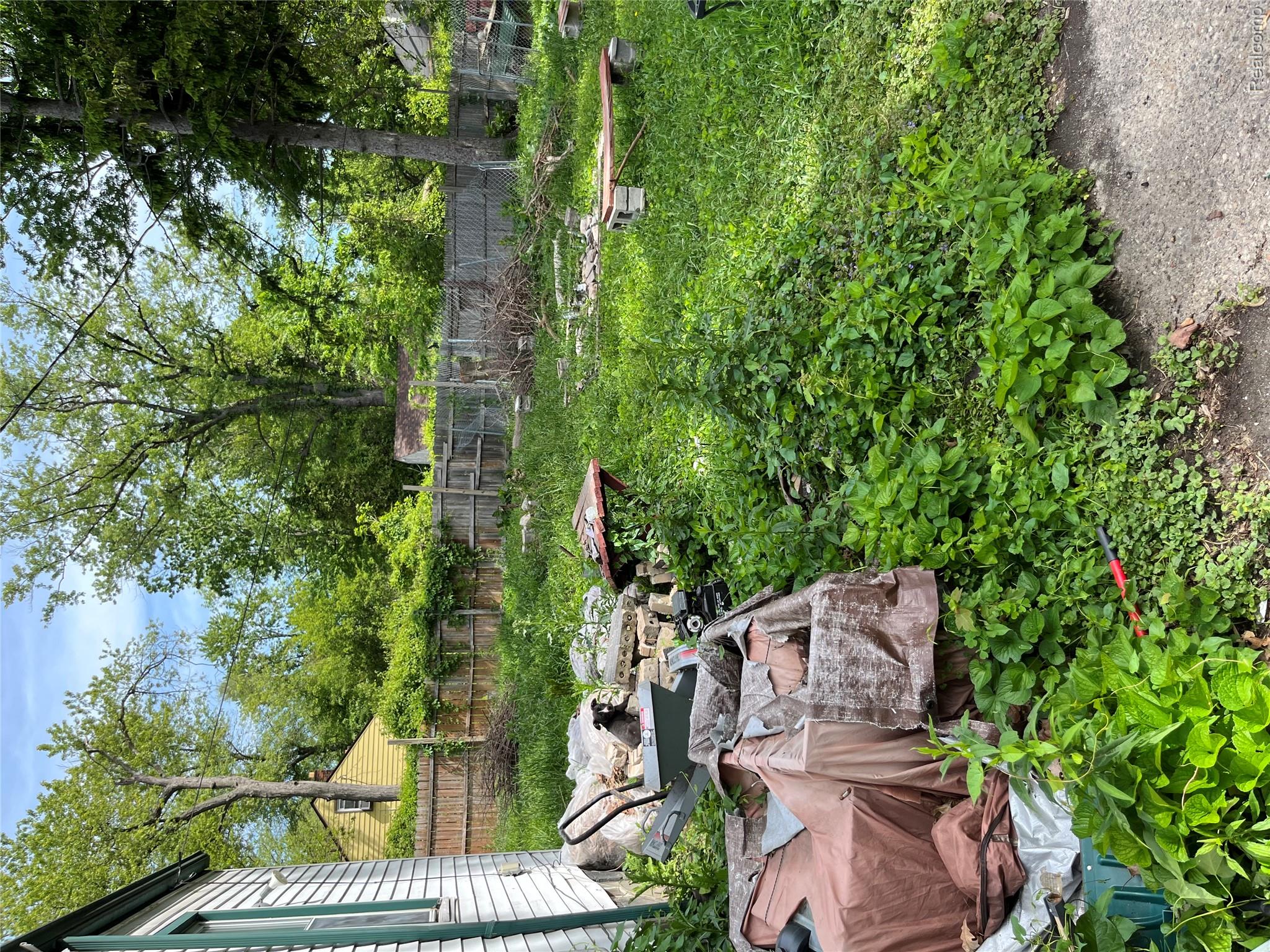 Residential in Detroit 3