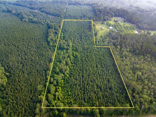 T-2 Dido Loop, Pitkin, LA, 70656 | Card Image