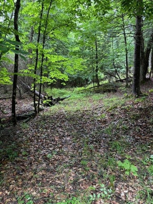 LOT 70 25 Th Line Rd, Home with 0 bedrooms, 0 bathrooms and null parking in Algonquin Highlands ON | Image 18