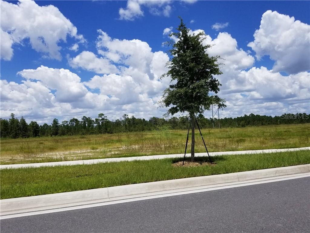 Land in ORLANDO 2