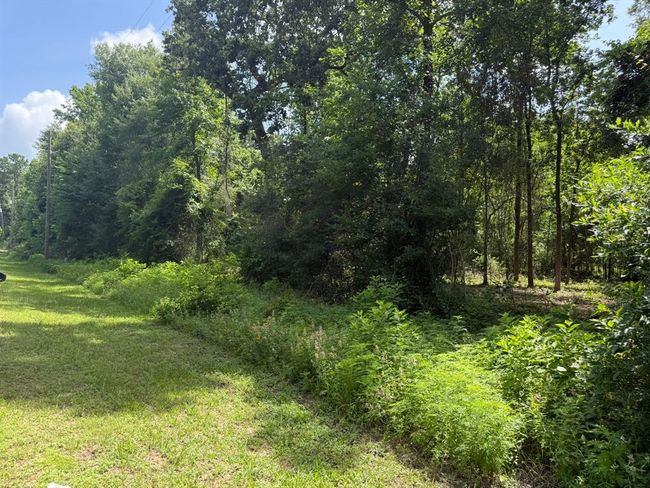 0 Pickering Rd, Home with 0 bedrooms, 0 bathrooms and null parking in Conroe TX | Image 9