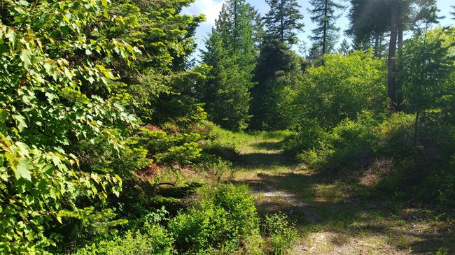500 Blacktail Heights Rd, Home with 0 bedrooms, 0 bathrooms and null parking in Lakeside MT | Image 11