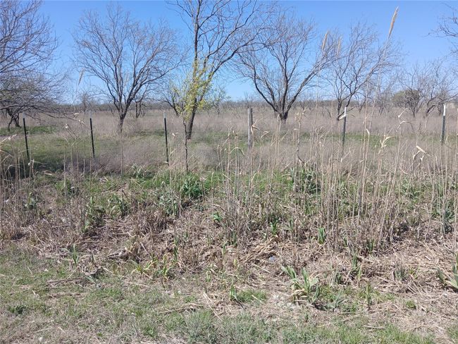 1753 Hcr 3242, Home with 0 bedrooms, 0 bathrooms and null parking in Mount Calm TX | Image 18