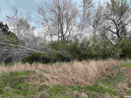 Lot 103 Cherokee Dr, Goreville, IL, 62939-5600 | Card Image
