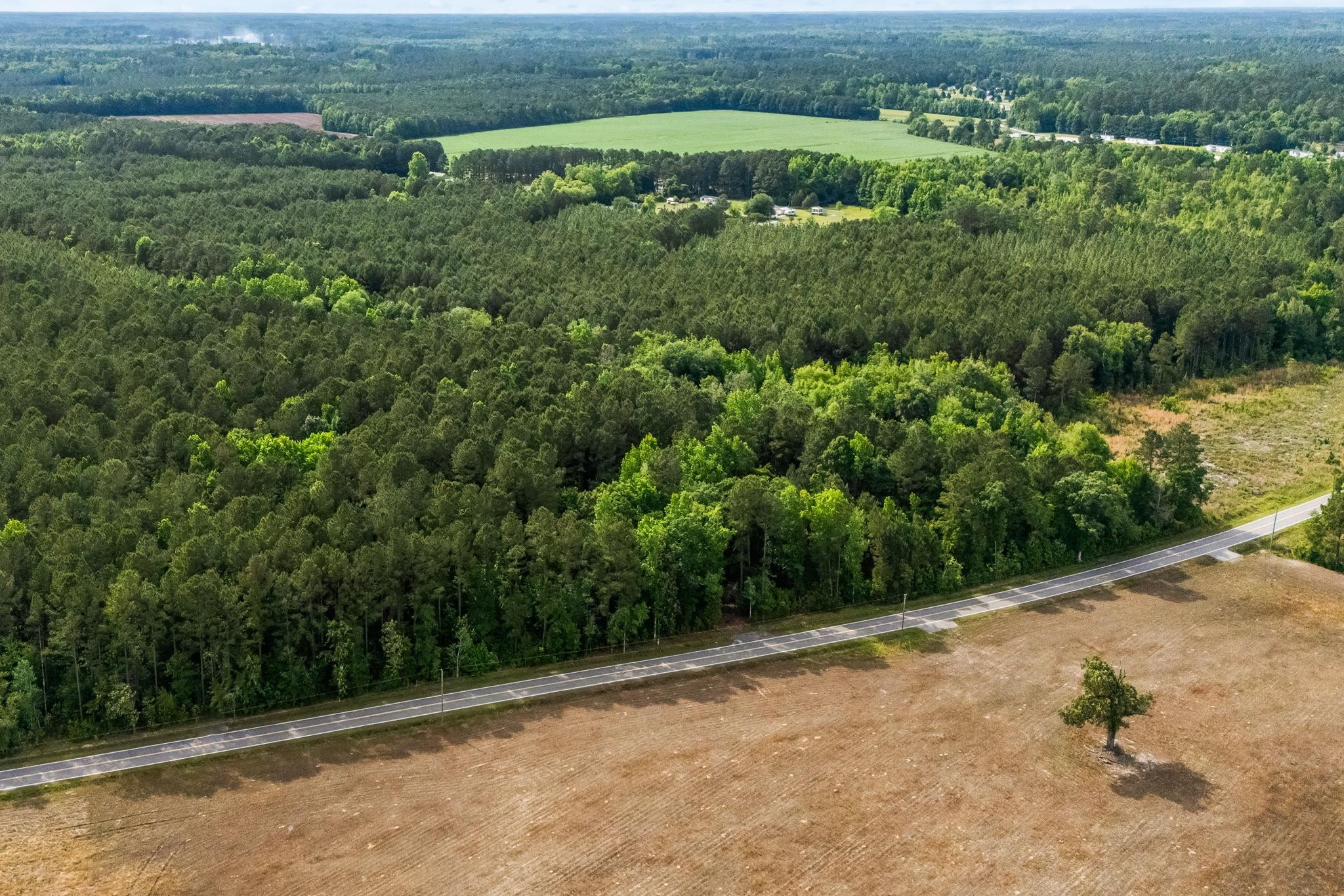 Land in Loris 3