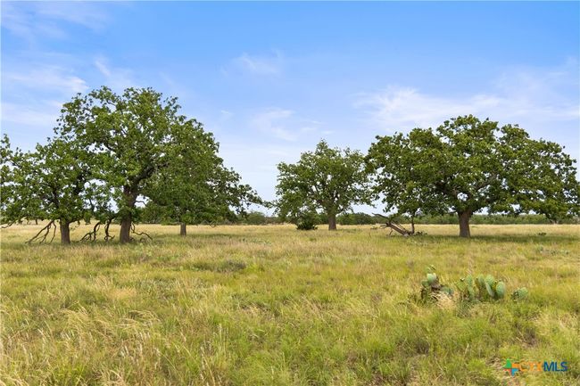 3049 Reservation Rd, Home with 0 bedrooms, 0 bathrooms and null parking in Harper TX | Image 34