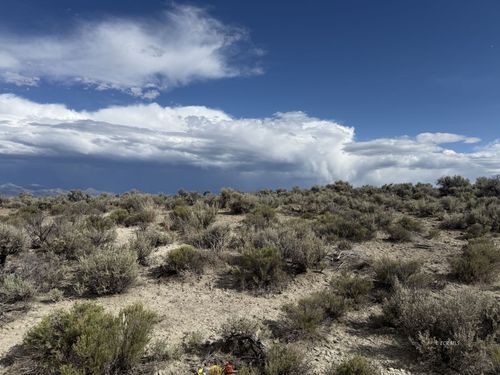 TBD Canvasback Ave, Deeth, NV, 89823 | Card Image