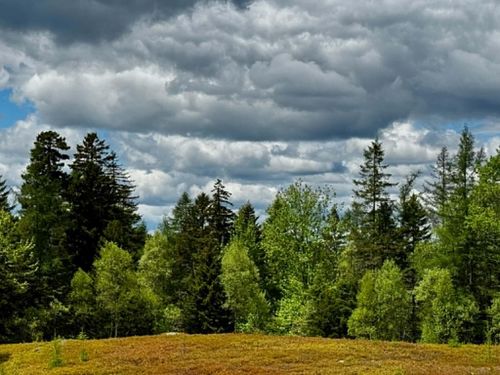 Lot 1 & 2B Elm Street, Machias, ME, 04654 | Card Image