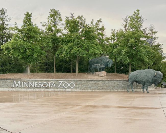 Minnesota Zoo is a short 10-minute drive from the neighborhood. | Image 77