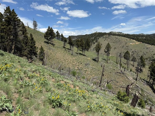 31 High Ore Rd, Home with 0 bedrooms, 0 bathrooms and null parking in Boulder MT | Image 19