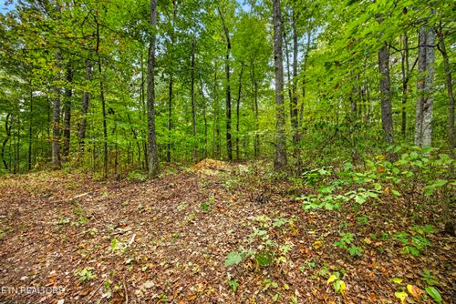 Lot 22 Timber Ridge Ln, Celina, TN, 38551 | Card Image