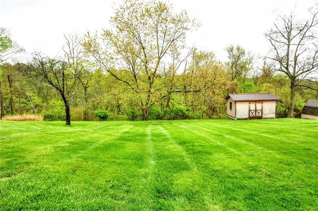 Your beautiful back yard and storage shed | Image 12