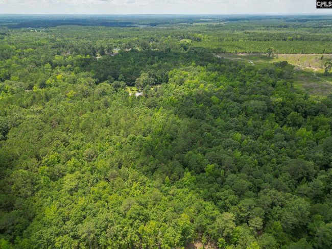 0 Mcdaniel Rd, Home with 0 bedrooms, 0 bathrooms and null parking in Rembert SC | Image 13