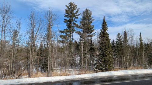 TBD Highway 1, Angora, MN, 55703 | Card Image