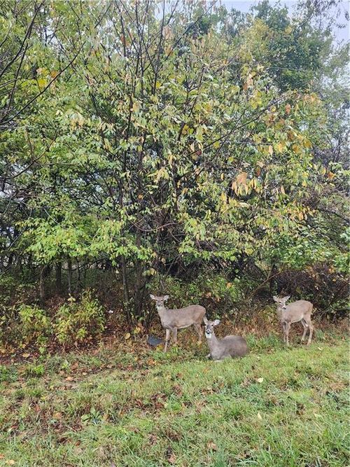 29 Ohio Dr, Linn Valley, KS, 66040-6141 | Card Image