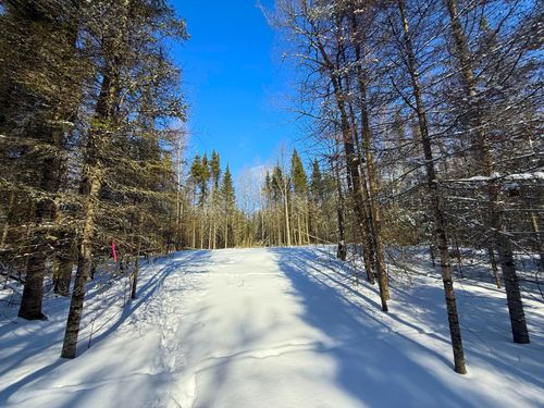 72XX E Central Lakes Rd, Eveleth, MN, 55734 | Card Image
