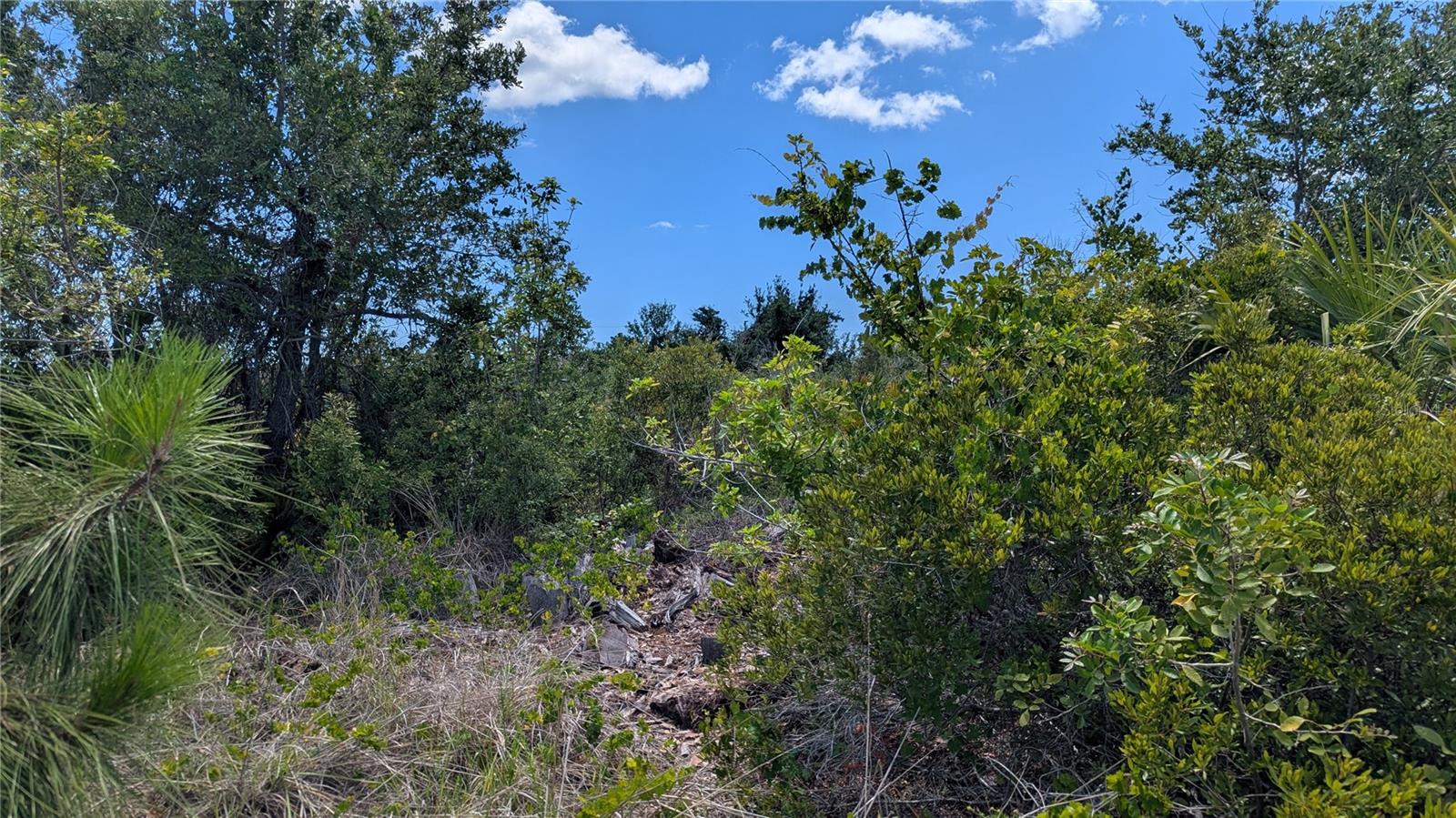 Land in PORT CHARLOTTE 3