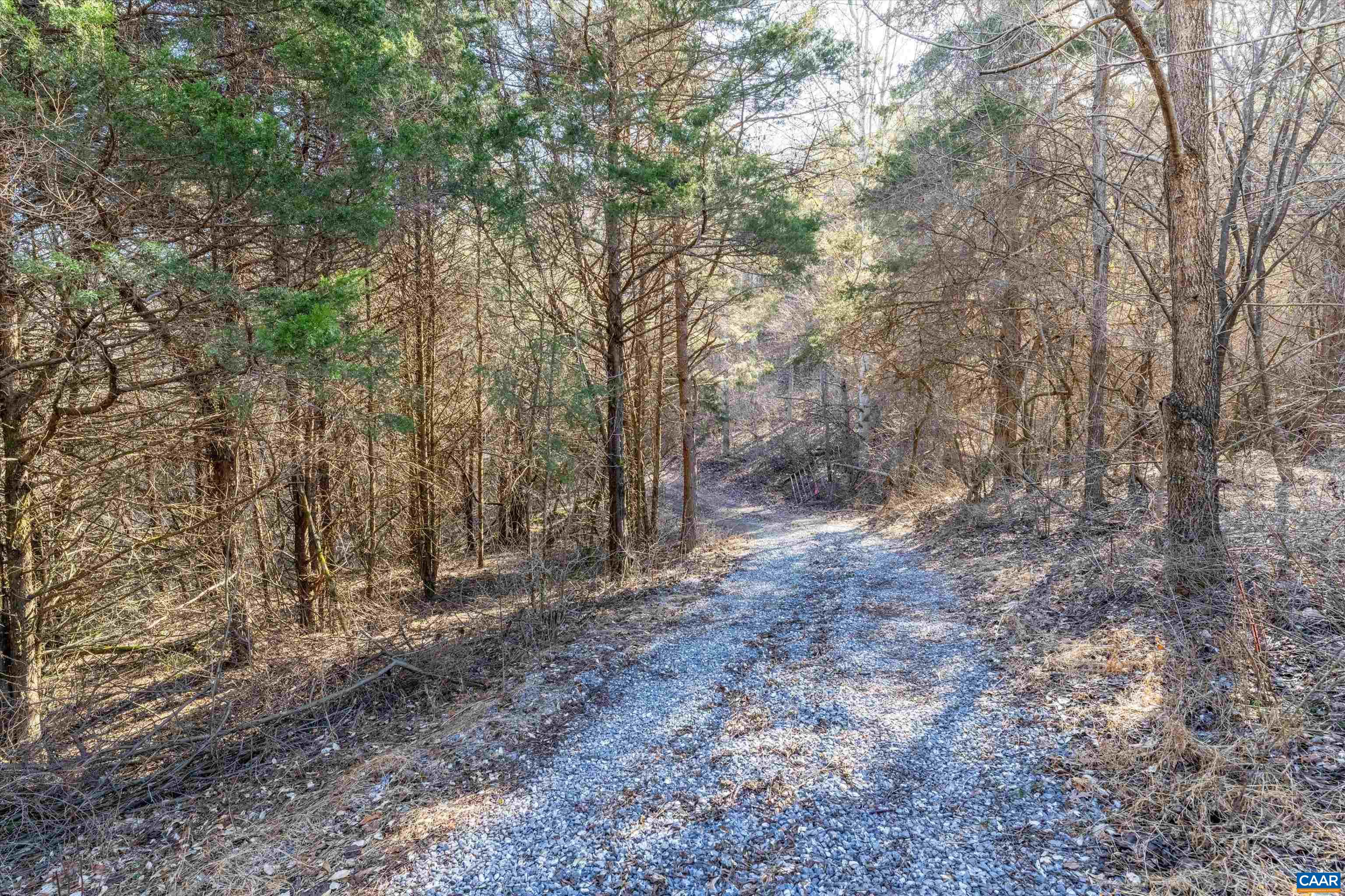 Land in Lexington 5