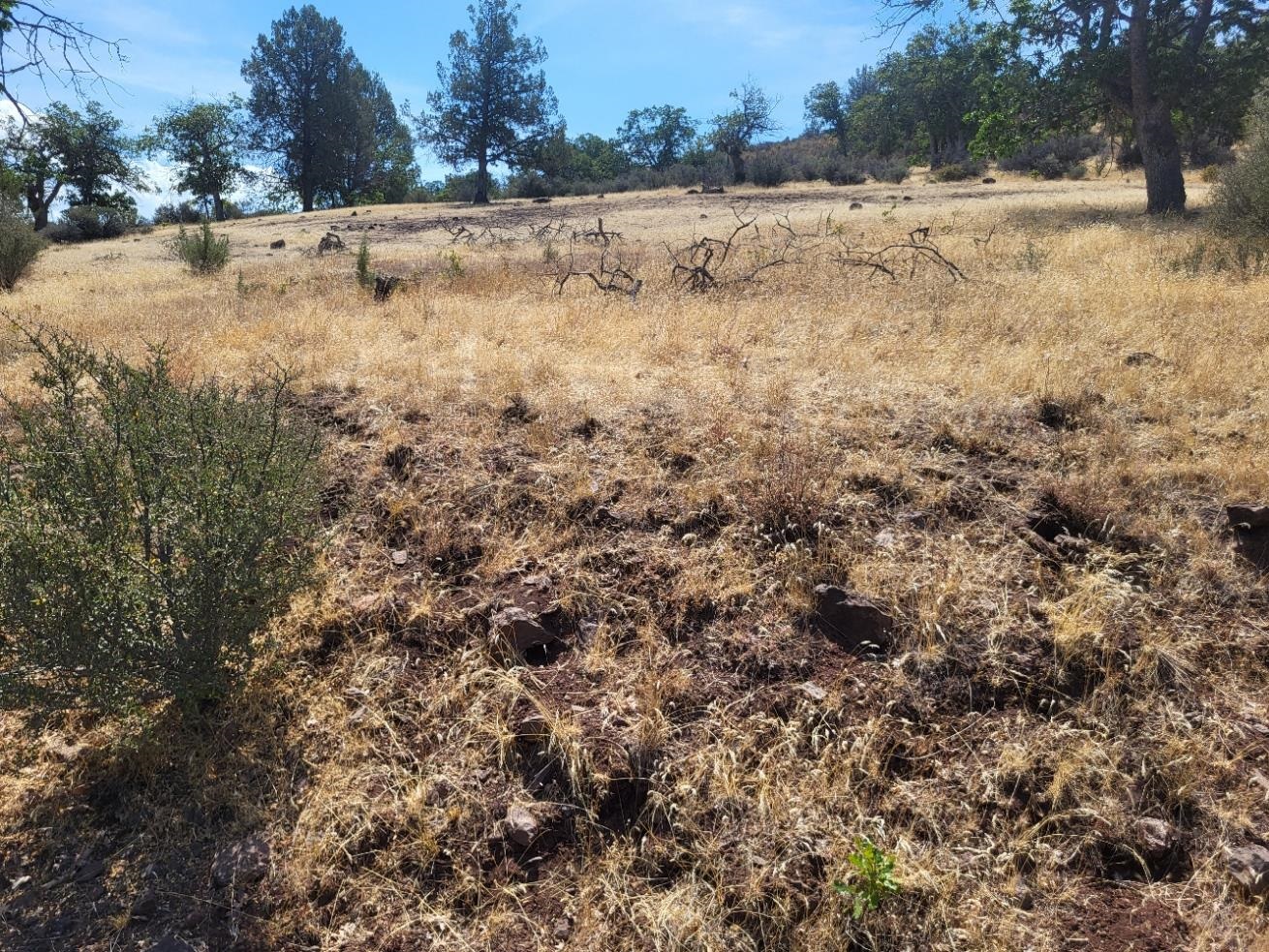 Land in Hornbrook