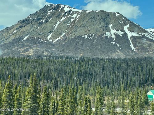 L9 Wonderstruck Avenue, Cantwell, AK, 99729 | Card Image