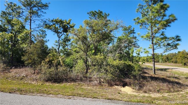 6204 N Hobson Ter, Home with 0 bedrooms, 0 bathrooms and null parking in DUNNELLON FL | Image 6