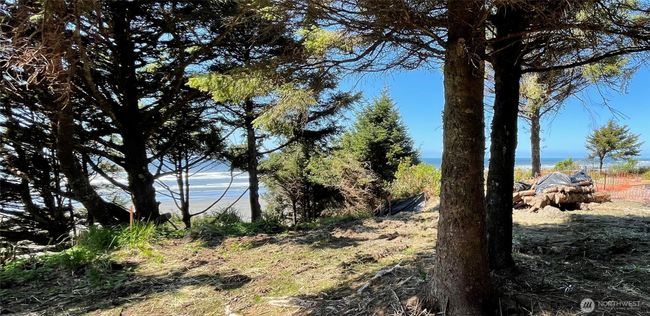 4659 State Route 109, Home with 0 bedrooms, 0 bathrooms and null parking in Moclips WA | Image 10