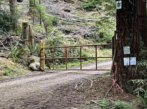 834 Blue Rock Ranch Rd, Zenia, CA, 95595 | Card Image