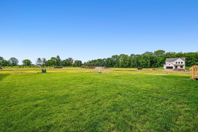 Back yard | Image 40