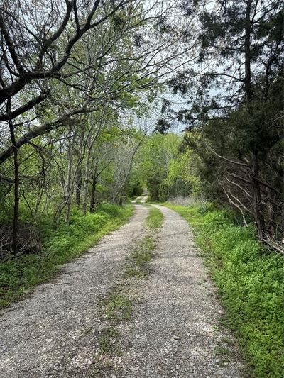 View of road | Image 2