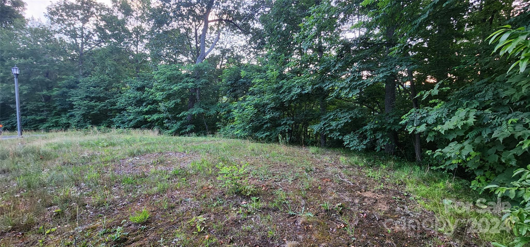 Land in Waynesville 3