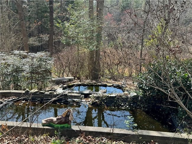 Koi ponds | Image 15