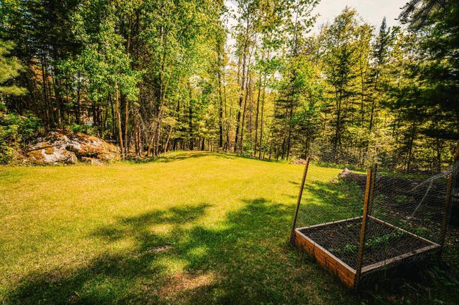 Wooded Lot | Image 21