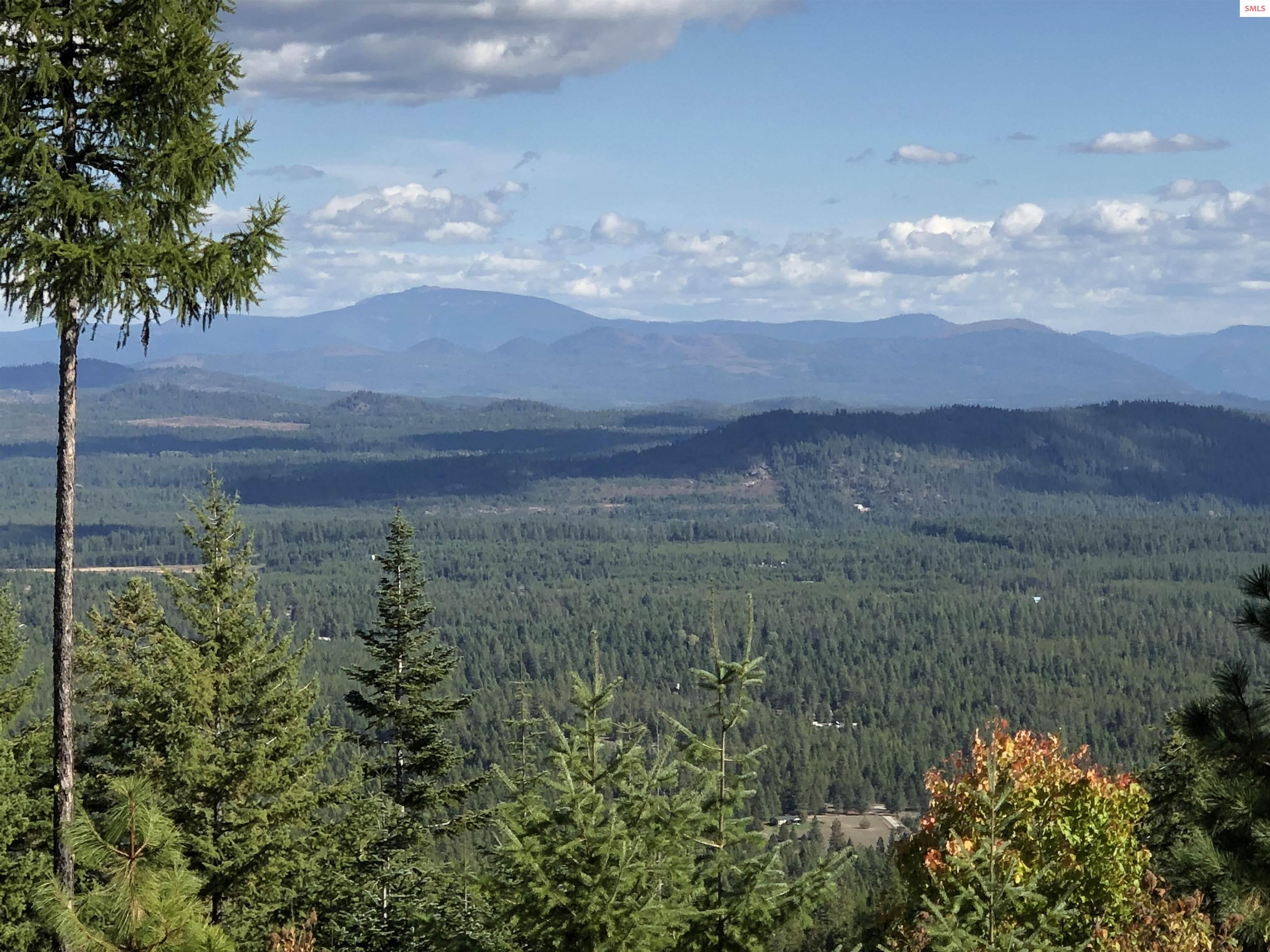 Land in Priest River 2