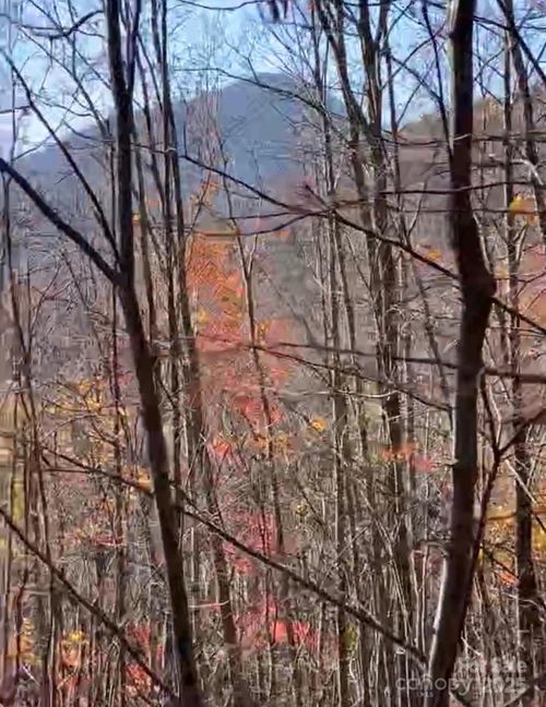 00 Camp Hill Rd, Mill Spring, NC, 28756 | Card Image