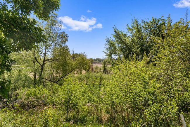 View of the wetlands from the deck. | Image 31
