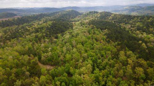 9999 Polk Road 62, Mena, AR, 71953 | Card Image