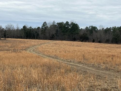 Tract 6 Private Drive 2336, Norwood, MO, 65717 | Card Image